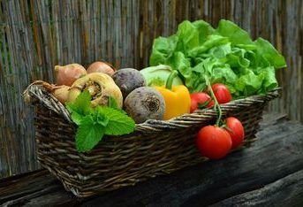 Nos produits en vente
